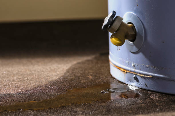  Baudette, MN Water damage restoration Pros