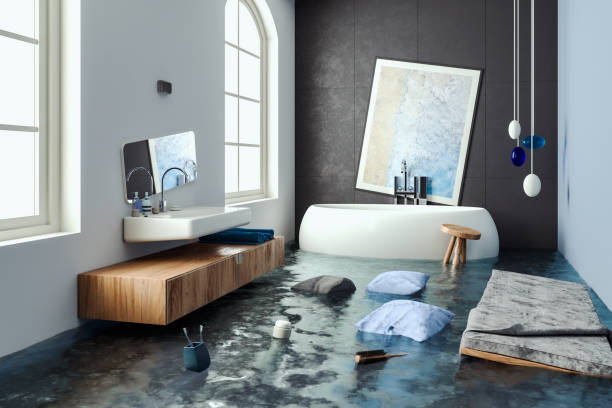 Best Emergency water damage restoration  in Baudette, MN