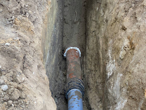 Best Professional water damage repair  in Baudette, MN