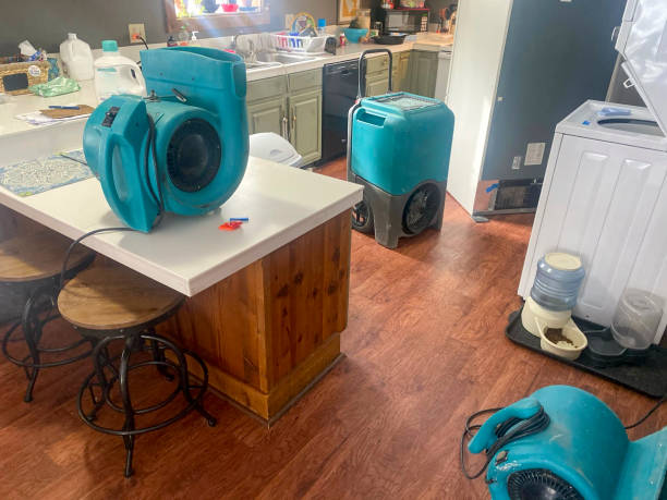 Best Flooded house restoration  in Baudette, MN