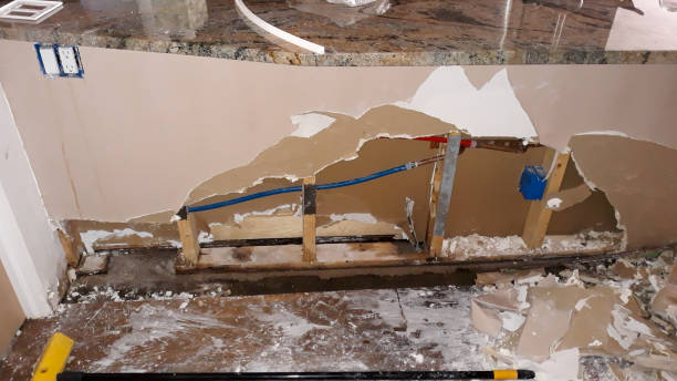 Best Ceiling water damage repair  in Baudette, MN