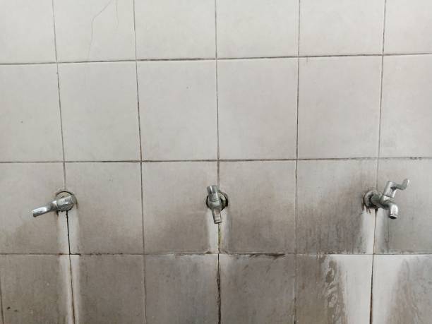 Best Water damage restoration near me  in Baudette, MN