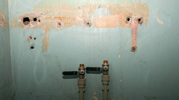 Best Residential water damage restoration  in Baudette, MN