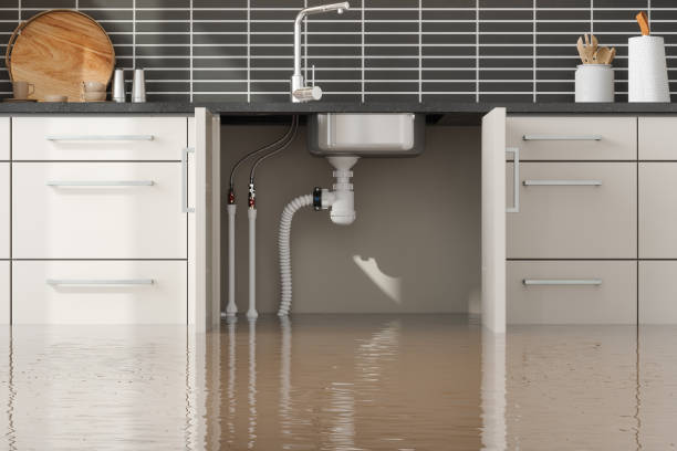 Best Water damage cleanup near me  in Baudette, MN