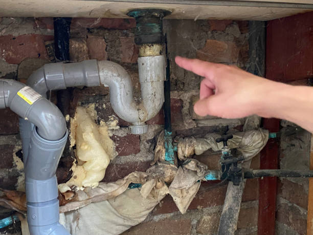 Best Water damage restoration near me  in Baudette, MN