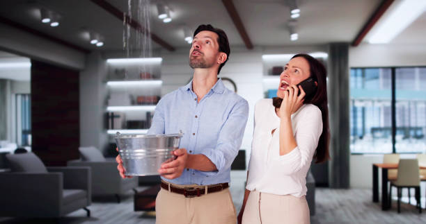 Best Mold removal after water damage  in Baudette, MN